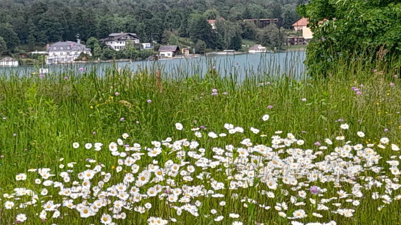 Glanz Und Gloria Velden! Woerthersee In 5 Min Zu Fuss Erreichbar! Velden am Wörthersee Exterior foto